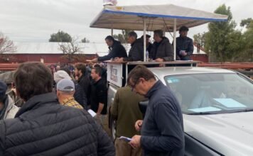 El clima y el mercado, se expresaron en Bahía