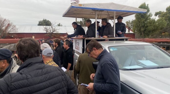 El clima y el mercado, se expresaron en Bahía