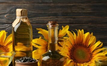 Las exportaciones del complejo del girasol crecieron 160%