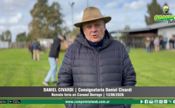 Entrevista a Daniel Civardi