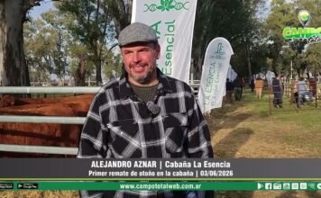 Entrevista a Alejandro Aznar