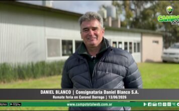 Entrevista a Daniel Blanco