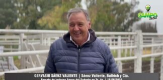 Entrevista a Gervasio Sáenz Valiente