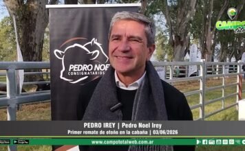 Entrevista a Pedro Irey