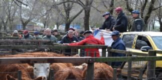 Tornquist: donde la dupla suma y sigue