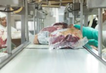 Récord: Crecieron 46% en valor en los primeros cinco meses