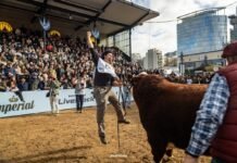 Hereford coronó sus grandes campeones