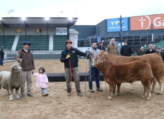 Llegaron Tim Payne, Tini Tini y De Paul a la Rural