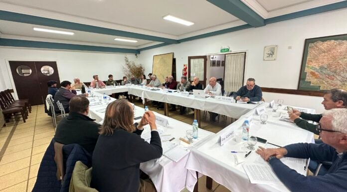 El «foco» estuvo en la sanidad