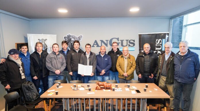 Angus firmó un convenio para ampliar sus programas de registros