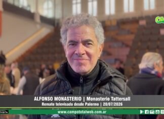 Entrevista a Alfonso Monasterio