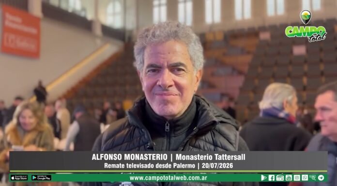 Entrevista a Alfonso Monasterio