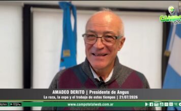 Entrevista a Amadeo Derito