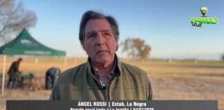 Entrevista a Ángel Rossi
