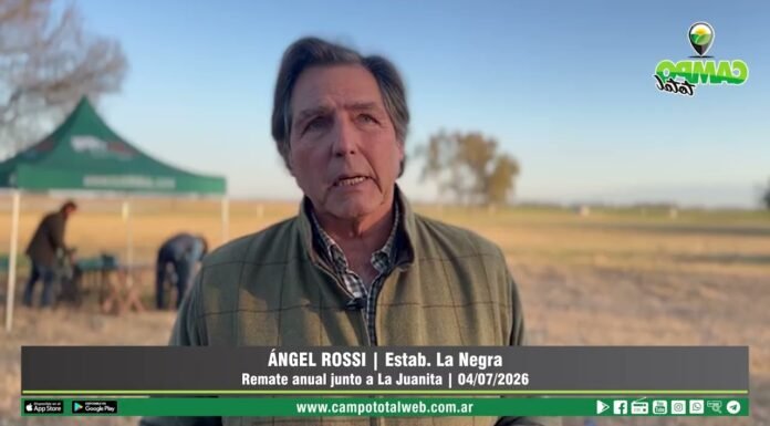 Entrevista a Ángel Rossi