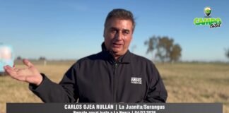 Entrevista a Carlos Ojea Rullán