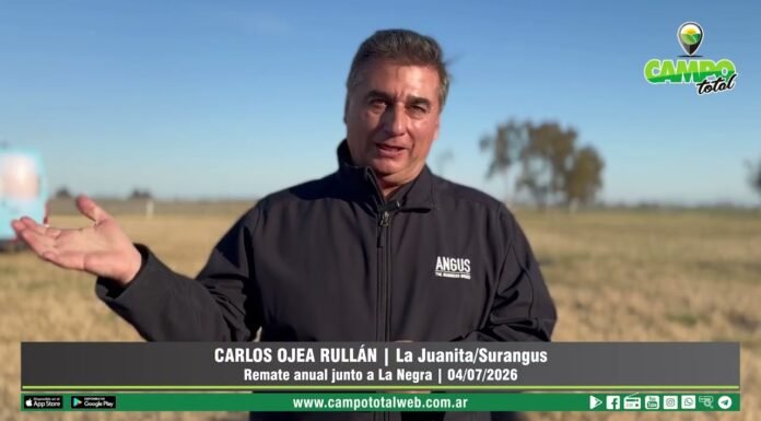 Entrevista a Carlos Ojea Rullán