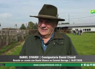Entrevista a Daniel Civardi