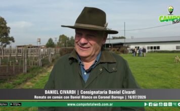 Entrevista a Daniel Civardi