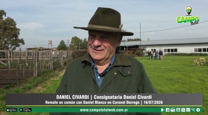 Entrevista a Daniel Civardi