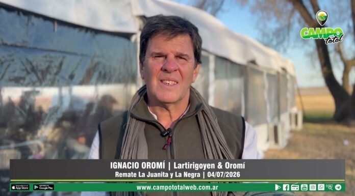 Entrevista a Ignacio Oromí