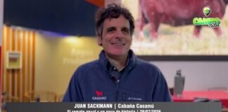 Entrevista a Juan Sackmann