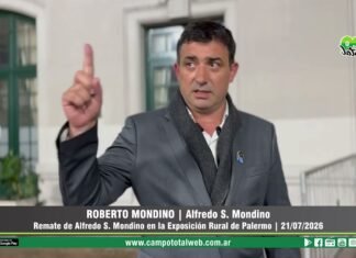 Entrevista a Roberto Mondino