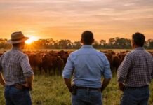 La confianza del campo, cerca de su máximo histórico