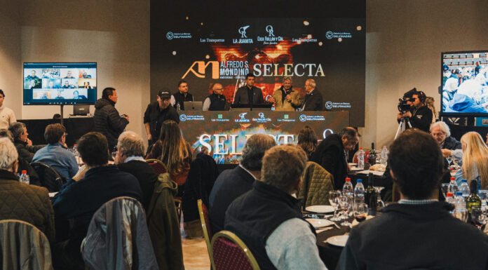 Selecta, la contundencia de un programa