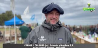 Entrevista a Carlos J. Colombo (h)