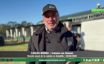 Entrevista a Carlos Murga