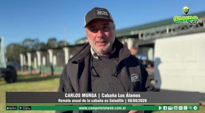 Entrevista a Carlos Murga