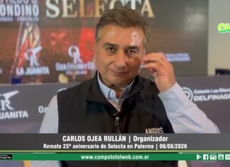 Entrevista a Carlos Ojea Rullán