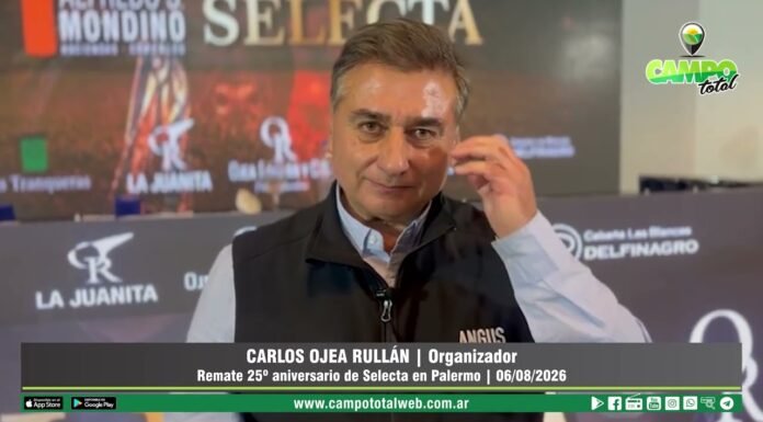 Entrevista a Carlos Ojea Rullán