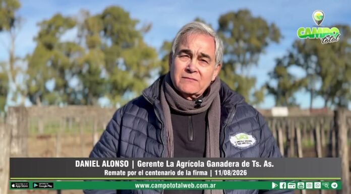 Entrevista a Daniel Alonso