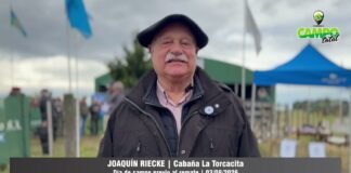 Entrevista a Joaquín Riecke