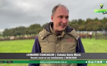 Entrevista a Leonardo Ciancaglini