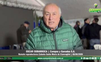 Entrevista a Oscar Subarroca