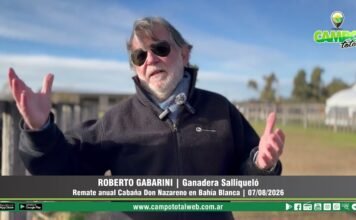 Entrevista a Roberto Gabarini