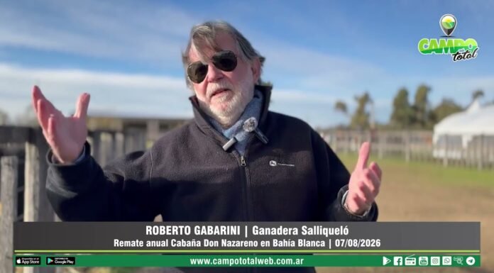 Entrevista a Roberto Gabarini
