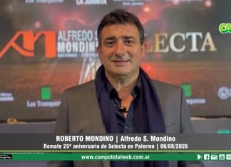 Entrevista a Roberto Mondino