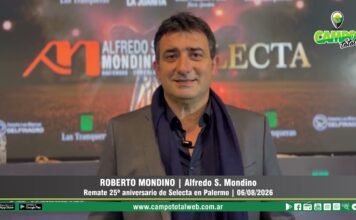 Entrevista a Roberto Mondino
