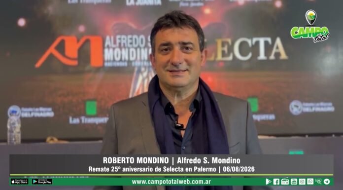 Entrevista a Roberto Mondino