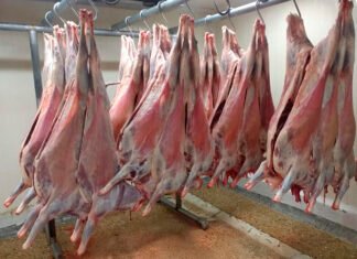Carne ovina: Con exportaciones en alza