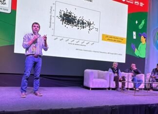 El trigo desafió sus límites en Rosario