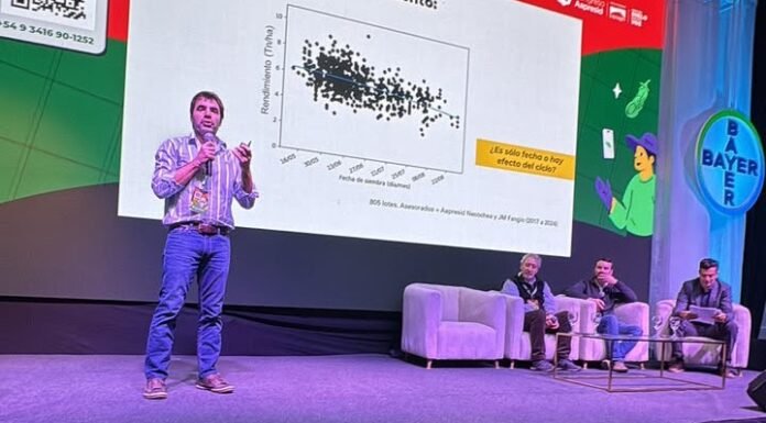 El trigo desafió sus límites en Rosario