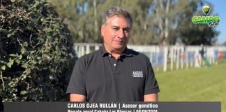 Entrevista a Carlos Ojea Rullán
