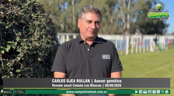 Entrevista a Carlos Ojea Rullán