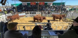 Un remate con peso propio