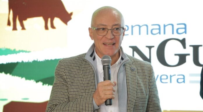 Angus mete récord de exportaciones